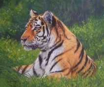 tiger