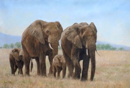 elephants wildlife artist