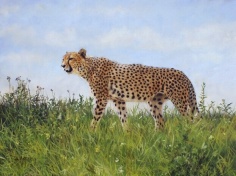 cheetah animal painting