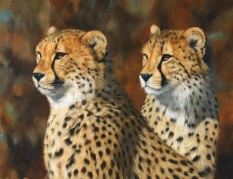cheetahs paintings of animals