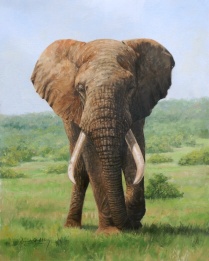 elephant animal painting