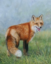 Red fox wildlife painting