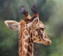 Giraffe wildlife art