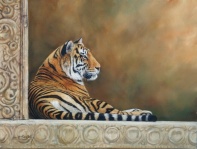 tiger wildlife big cat