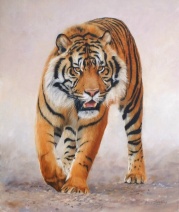 tiger big cats painting