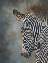 zebra wildlife artist